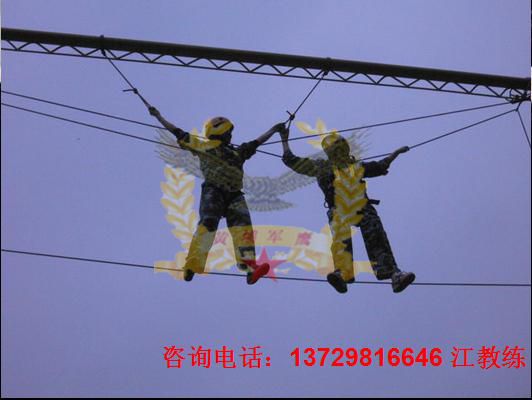天使之手图片1.jpg