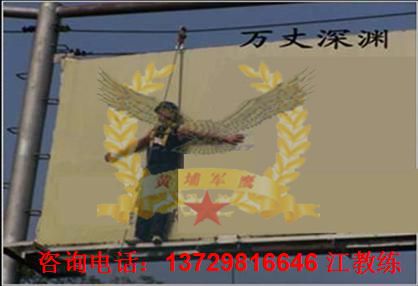 万仗图片1.jpg