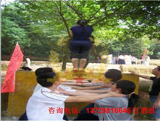 信任背摔图片1.jpg